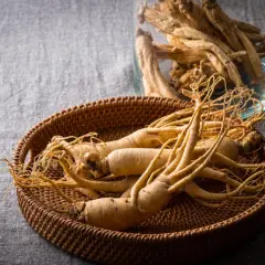 Kilka korzeni żeń-szenia koreańskiego w wiklinowym koszyku, obok słoika z suszonym żeń-szeniem.