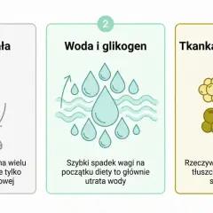 Ilustracja pokazuje reakcję organizmu na odchudzanie: masa ciała, utrata wody i glikogenu, a potem stopniowa utrata tkanki tłuszczowej.