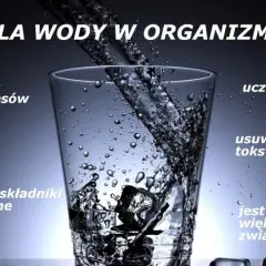 Woda w organizmie: niezbędna do przemiany materii, transportu, trawienia, usuwania toksyn. Jak sprawdzić ile wody jest w organizmie? Pij ją regularnie!