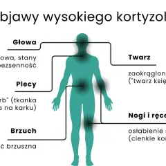 Wysoki kortyzol objawy: mgła mózgowa, lęki, bezsenność, "wdowi garb", otyłość brzuszna, okrągła twarz, osłabienie mięśni.