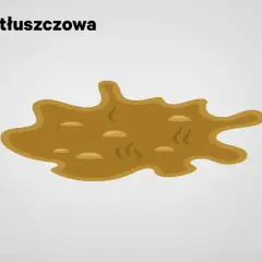 Biegunka tłuszczowa objawia się jako luźny, oleisty, kleisty stolec, często unoszący się na powierzchni wody w toalecie.