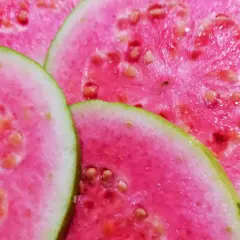 Plasterki różowej guawy, idealne owoce przy antybiotyku.