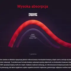 Wykres porównujący absorpcję Rocket Creatine (monohydrat) z innymi formami kreatyny. Wyższa krzywa czerwona pokazuje lepszą przyswajalność.