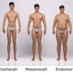 Trzy sylwetki męskie: szczupły (ektomorfik), umięśniony (mezomorfik) i z nadwagą (endomorfik).