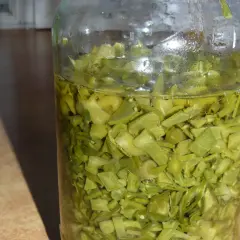 Nalewka z żyworódki na co pomaga? W słoiku zielone kawałki rośliny w zalewie.