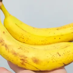 Dwa żółte banany z brązowymi plamkami, idealne na zdrową przekąskę. Zastanawiasz się, ile bananów dziennie jest dla Ciebie najlepsze?