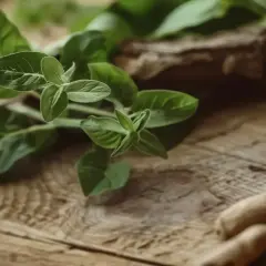 Zielone liście i korzenie, być może ashwagandha, wspierające w walce z niedoczynnością tarczycy.