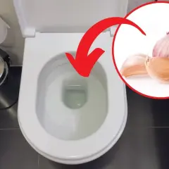Czosnek na zatoki? Strzałka wskazuje na muszlę klozetową, sugerując nietypowe zastosowanie czosnku.