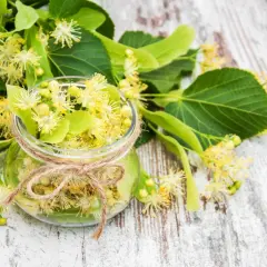 Słoik pełen kwiatów lipy, gotowy na syrop z lipy na przeziębienie i nie tylko. Naturalne leczenie.