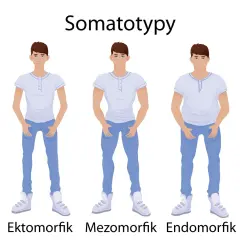 Trzech mężczyzn: ektomorfik (szczupły), mezomorfik (umięśniony) i endomorfik (zaokrąglony), ilustrujących somatotypy.