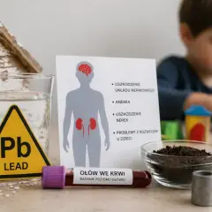 Ołowica objawy: uszkodzenie układu nerwowego, anemia, nerek, problemy z rozwojem u dzieci. Badanie poziomu ołowiu we krwi.