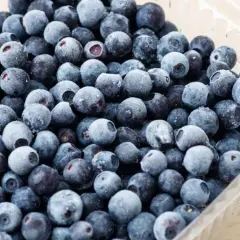 Mrożone borówki amerykańskie w plastikowym opakowaniu. Zastanawiasz się, ile jeść borówki amerykańskiej? Te małe owoce to prawdziwa bomba witaminowa!