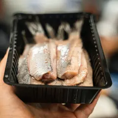 Dłoń trzyma opakowanie ze śledziami. Czy śledź jest zdrowy? Tak, to bogate źródło kwasów omega-3.