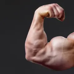 Mięsień bicepsa kulturysty. Zastanawiasz się, ile węglowodanów na masę jest potrzebne, by osiągnąć taki efekt?