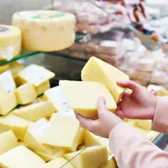 Ręce trzymają kawałki żółtego sera, zastanawiając się, jaki ser na diecie odchudzającej wybrać.