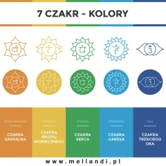 Siedem czakr, od podstawy po czakrę trzeciego oka i czakrę korony, z symbolami i kolorami.