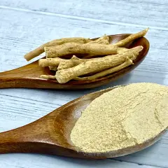 Korzeń ashwagandhy i proszek na drewnianych łyżkach. Czy ashwagandha a karmienie piersią to bezpieczne połączenie?