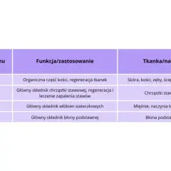 Tabela przedstawia typy kolagenu, ich funkcje i tkanki. Kolagen typu I jest ważny dla skóry i kości, a suplementy z kolagenem mogą wspierać regenerację.