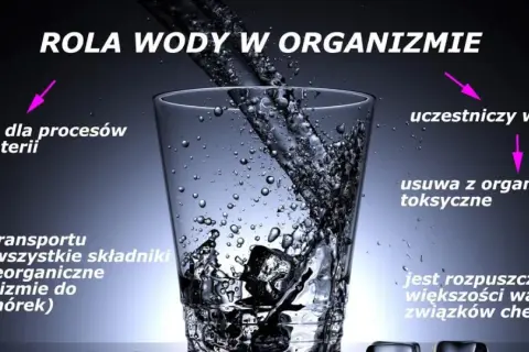 Woda w organizmie: niezbędna do przemiany materii, transportu, trawienia, usuwania toksyn. Jak sprawdzić ile wody jest w organizmie? Pij ją regularnie!