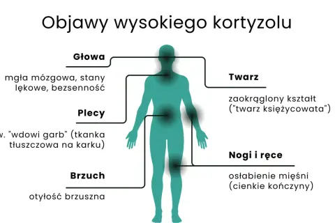 Wysoki kortyzol objawy: mgła mózgowa, lęki, bezsenność, "wdowi garb", otyłość brzuszna, okrągła twarz, osłabienie mięśni.