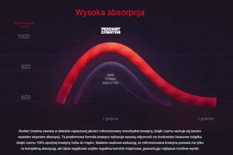 Wykres porównujący absorpcję Rocket Creatine (monohydrat) z innymi formami kreatyny. Wyższa krzywa czerwona pokazuje lepszą przyswajalność.