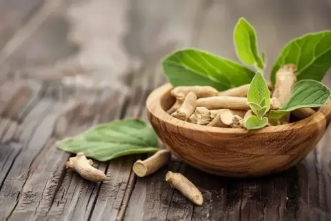 Korzeń ashwagandhy w drewnianej misce, z liśćmi. Naturalne wsparcie dla osób z Hashimoto.