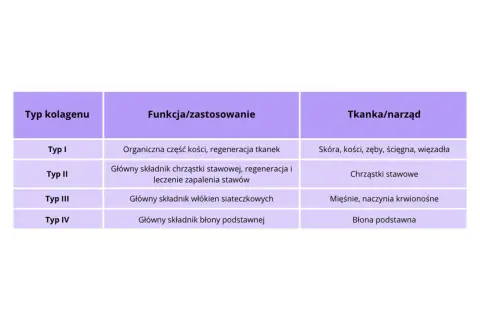 Tabela przedstawia różne **kolagen typy**: I (kości, skóra), II (chrząstki stawowe), III (mięśnie) i IV (błony).