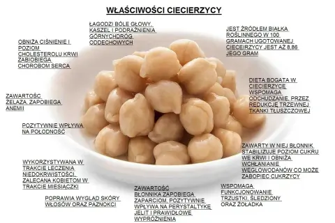 Ciecierzyca właściwości: obniża ciśnienie, cholesterol, łagodzi bóle głowy, kaszel. Jest bogata w żelazo, błonnik, wspomaga odchudzanie i trawienie.