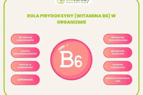Witamina B6, kluczowa dla suplementów na układ nerwowy, wspiera syntezę neuroprzekaźników, metabolizm i regulację nastroju.