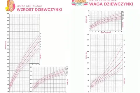 Siatki centylowe dla dziewczynek: wzrost i waga. Sprawdź, ile powinien ważyć 4 latek.