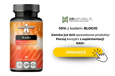 Suplement diety NAD+ Apollo's Hegemony. Zamów już dziś sprawdzone produkty i poczuj korzyści z suplementacji. -10% z kodem BLOG10.
