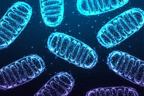 Siatka geometryczna przedstawiająca budowę mitochondrium, świecąca na niebiesko i fioletowo na ciemnym tle.