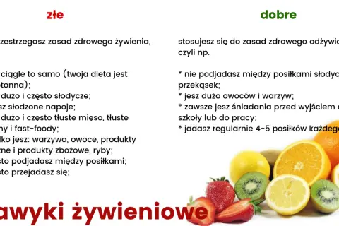 Co jeść codziennie aby być zdrowym? Unikaj monotonii, słodyczy i fast foodów. Jedz dużo owoców, warzyw i regularnie 4-5 posiłków.