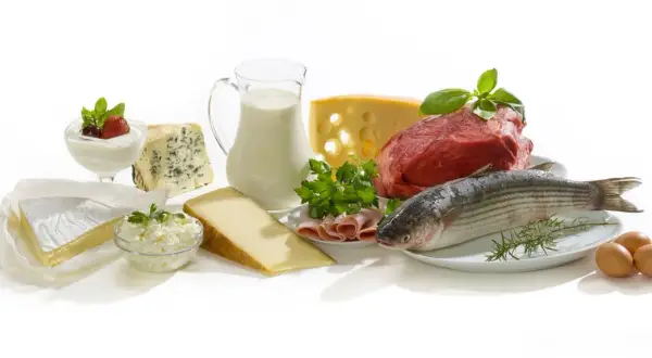 Produkty bogate w kwas linolowy właściwości: nabiał, mięso, ryby, jajka. Zdrowa dieta to podstawa.