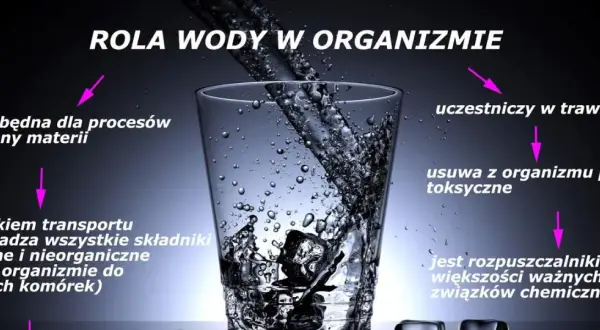 Woda w organizmie: niezbędna do przemiany materii, transportu, trawienia, usuwania toksyn. Jak sprawdzić ile wody jest w organizmie? Pij ją regularnie!