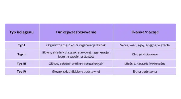 Tabela przedstawia różne **kolagen typy**: I (kości, skóra), II (chrząstki stawowe), III (mięśnie) i IV (błony).