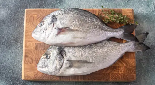 Dwie świeże ryby dorada na desce, gotowe do przygotowania. Czy ryba dorada jest zdrowa? Tak, to doskonałe źródło białka i kwasów omega-3.