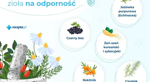 Najpopularniejsze zioła na odporność: jeżówka, czarny bez, żeń-szeń, rokitnik, czystek. Zobacz, co brać na odporność!