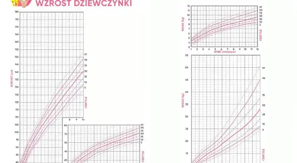 Siatki centylowe dla dziewczynek: wzrost i waga. Sprawdź, ile powinien ważyć 4 latek.