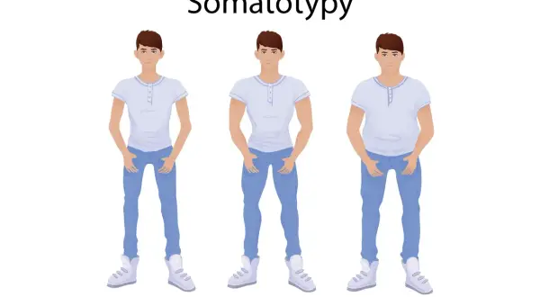 Trzech mężczyzn: ektomorfik (szczupły), mezomorfik (umięśniony) i endomorfik (zaokrąglony), ilustrujących somatotypy.