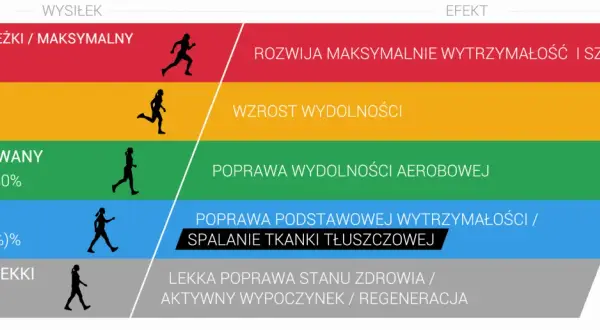 Schemat pokazuje poziomy wysiłku i ich efekty: od maksymalnego tętna aerobowego i beztlenowego po lekki wysiłek regeneracyjny.
