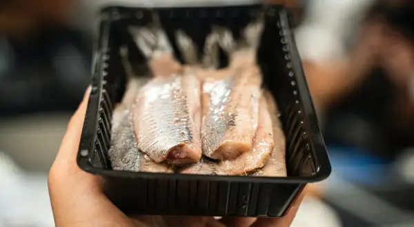 Dłoń trzyma opakowanie ze śledziami. Czy śledź jest zdrowy? Tak, to bogate źródło kwasów omega-3.