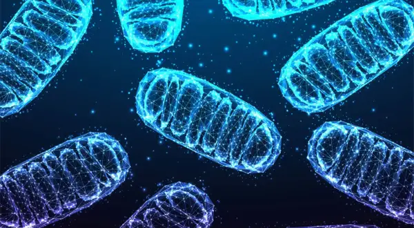 Siatka geometryczna przedstawiająca budowę mitochondrium, świecąca na niebiesko i fioletowo na ciemnym tle.