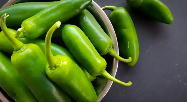 Garnek pełen zielonych papryczek jalapeno. Czy jalapeno jest zdrowe? Tak, jest bogate w witaminy i antyoksydanty.