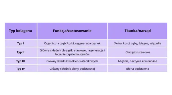 Tabela przedstawia typy kolagenu, ich funkcje i tkanki. Kolagen typu I jest ważny dla skóry i kości, a suplementy z kolagenem mogą wspierać regenerację.