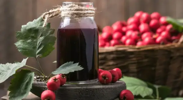 Butelka z nalewką z głogu na serce, obok gałązka z owocami i kosz pełen głogu.