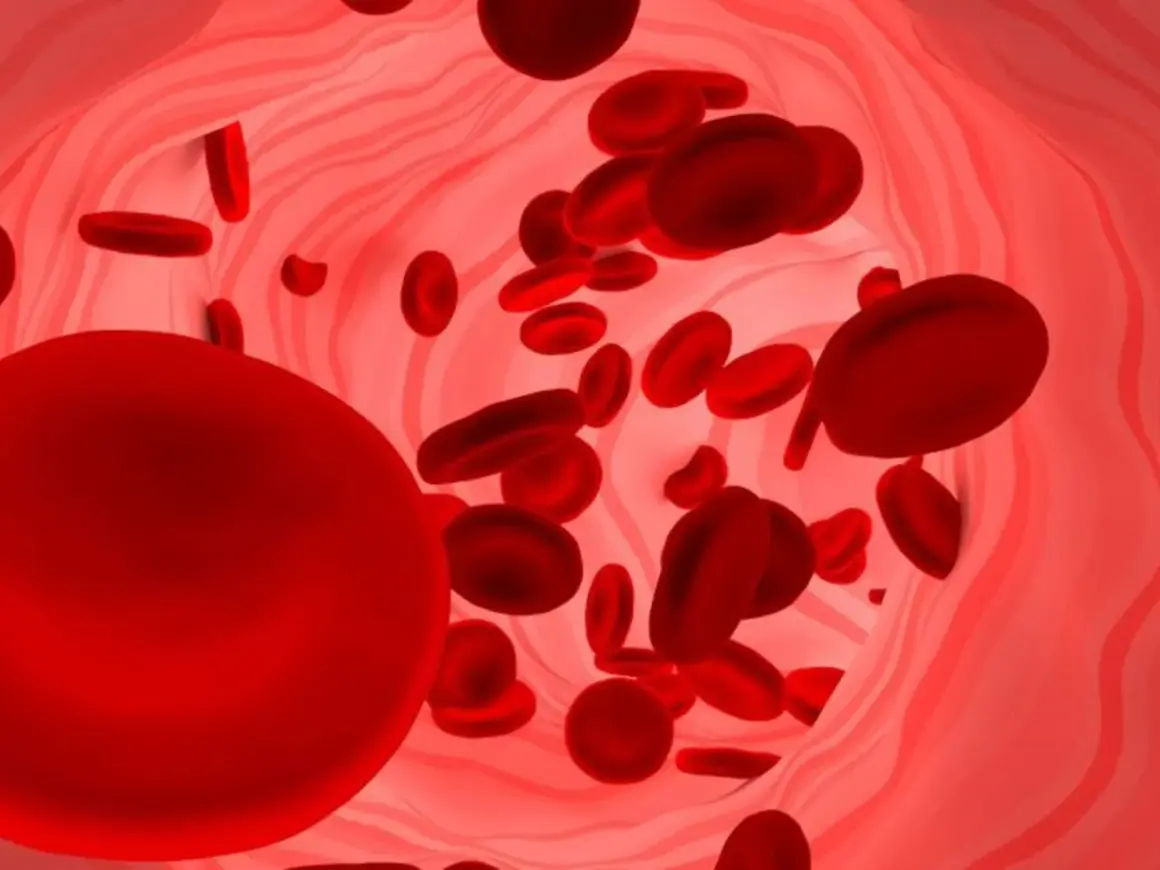 Czerwone krwinki w naczyniu krwionośnym. Duża ilość erytrocytów może sugerować podwyższona hemoglobina.