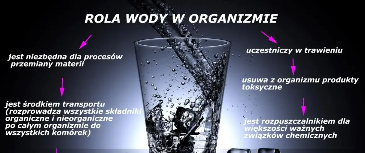 Woda w organizmie: niezbędna do przemiany materii, transportu, trawienia, usuwania toksyn. Jak sprawdzić ile wody jest w organizmie? Pij ją regularnie!