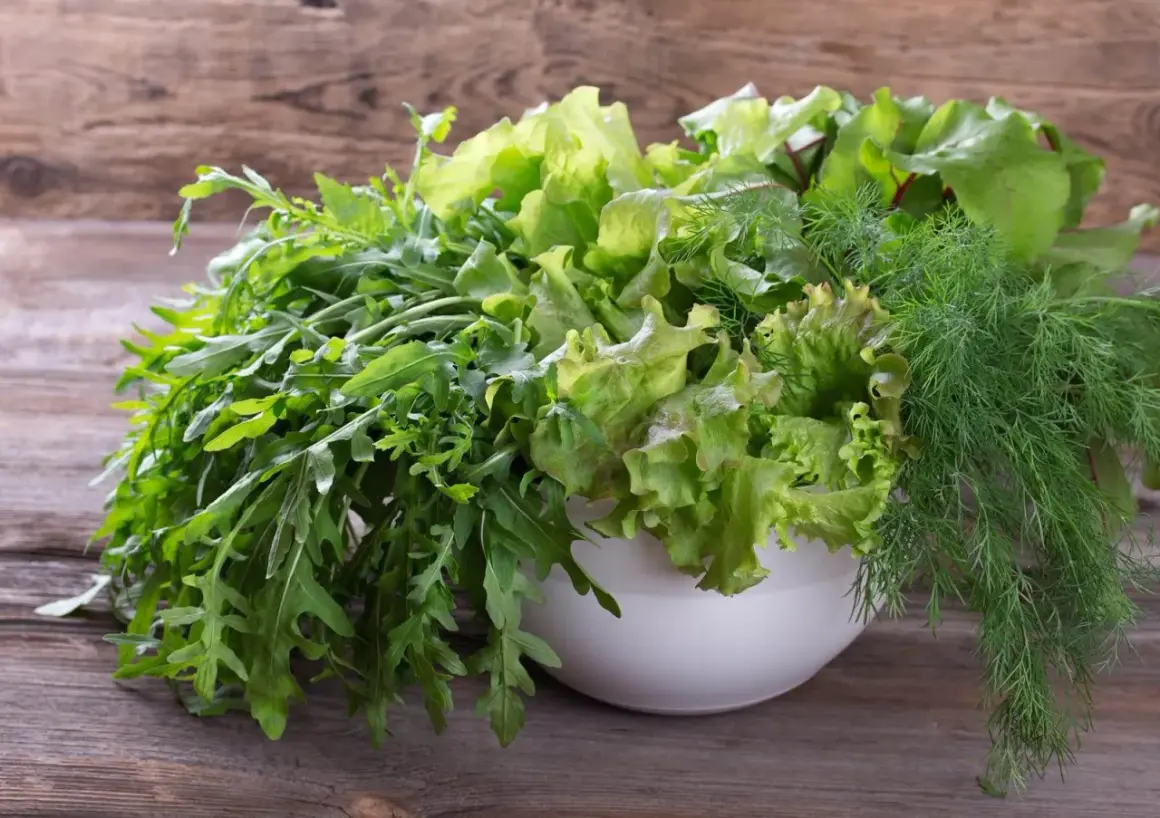 Miska pełna świeżych sałat, rukoli i kopru – naturalne produkty bogate w tlenek azotu dla zdrowia.