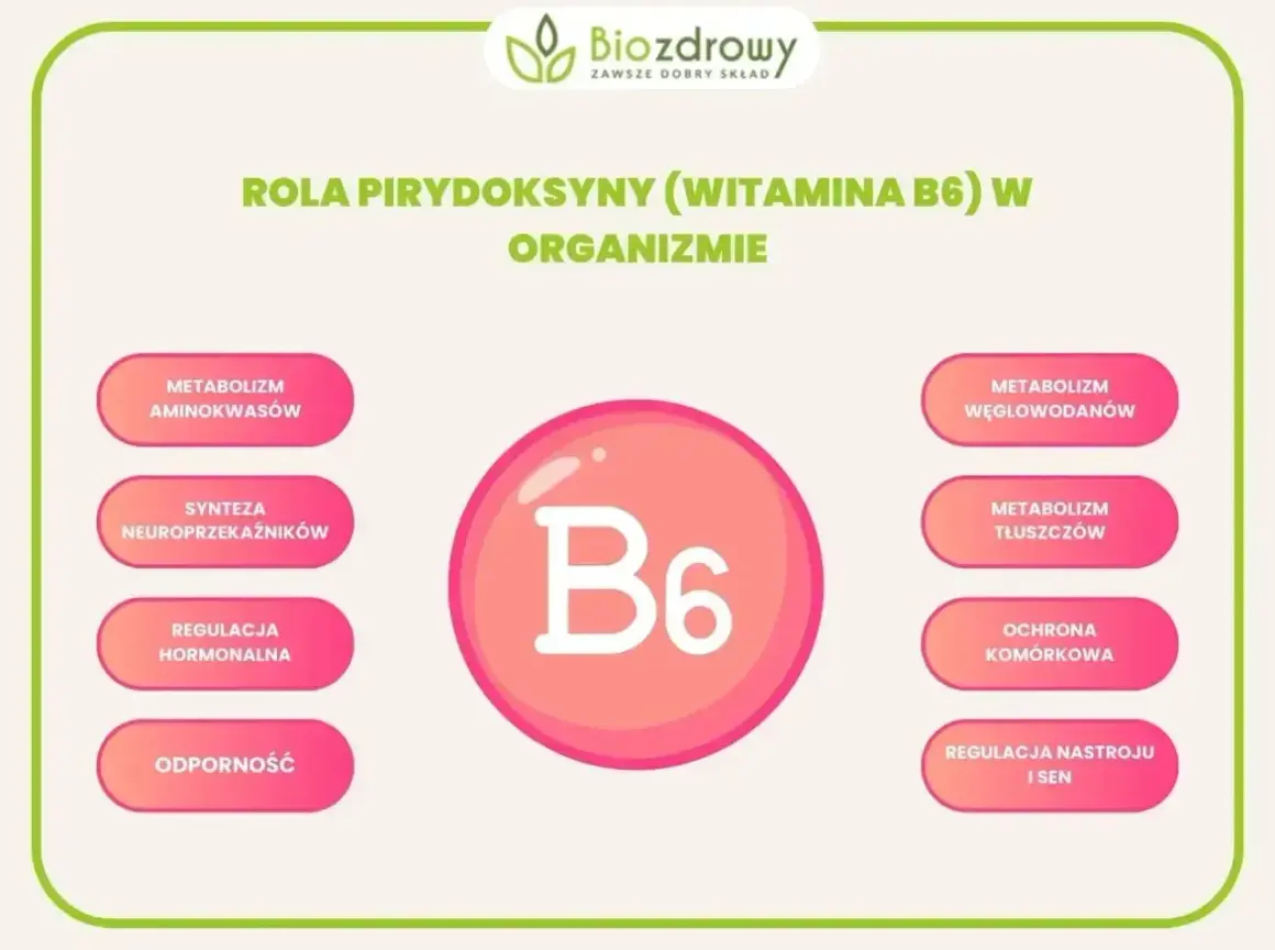 Witamina B6, kluczowa dla suplementów na układ nerwowy, wspiera syntezę neuroprzekaźników, metabolizm i regulację nastroju.